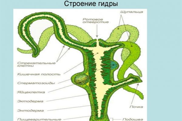 Что за маркетплейс кракен