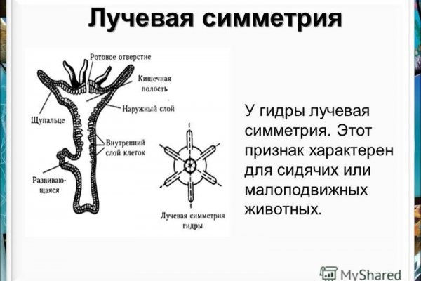 Кракен купить гашиш